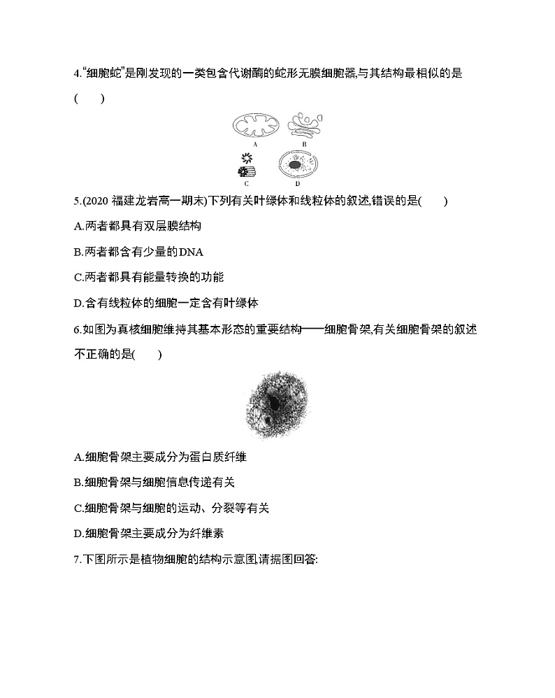 2_第2节 细胞器——系统内的分工合作练习题02