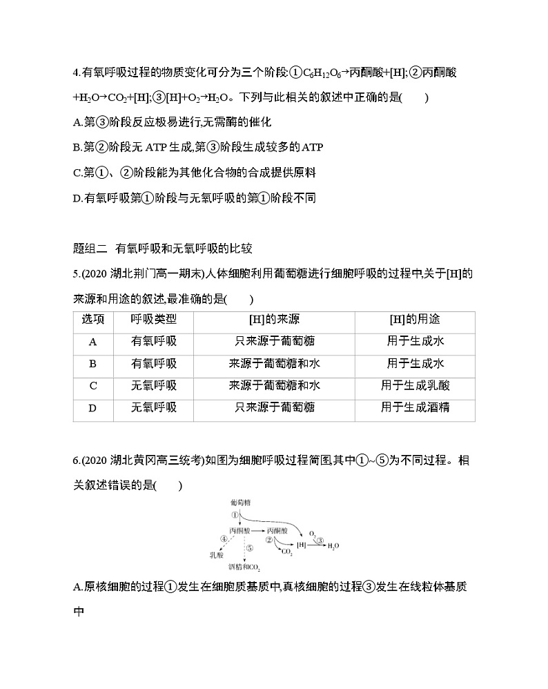 3_第3节 ATP的主要来源——细胞呼吸练习题02