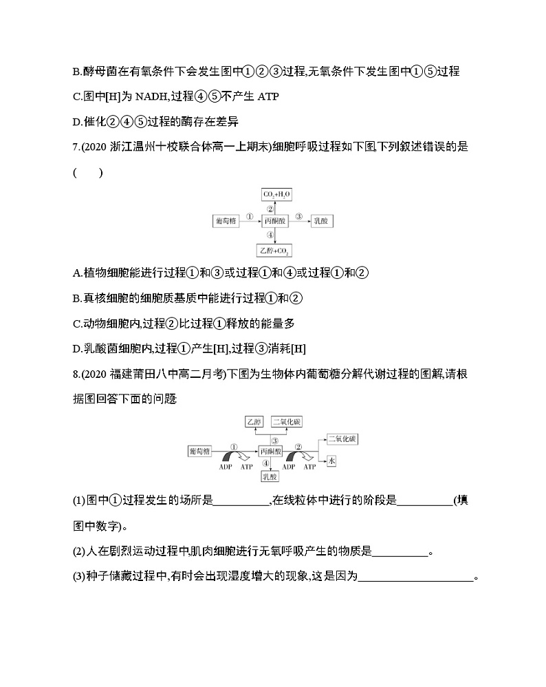 3_第3节 ATP的主要来源——细胞呼吸练习题03