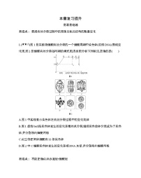 高中生物人教版 (新课标)必修1《分子与细胞》第六章 细胞的生命历程综合与测试课堂检测