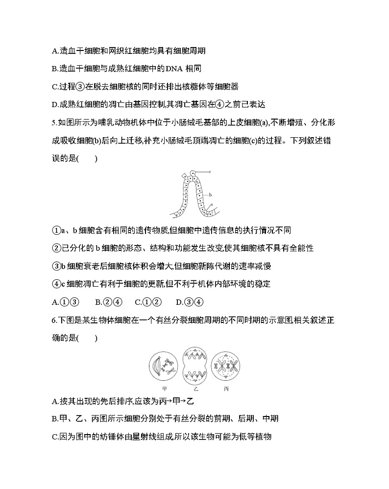 7_第6章 细胞的生命历程达标检测02