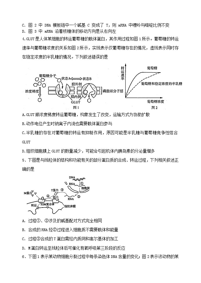 山东省济南大学城实验高中2022届高三上学期11月月考生物试题02