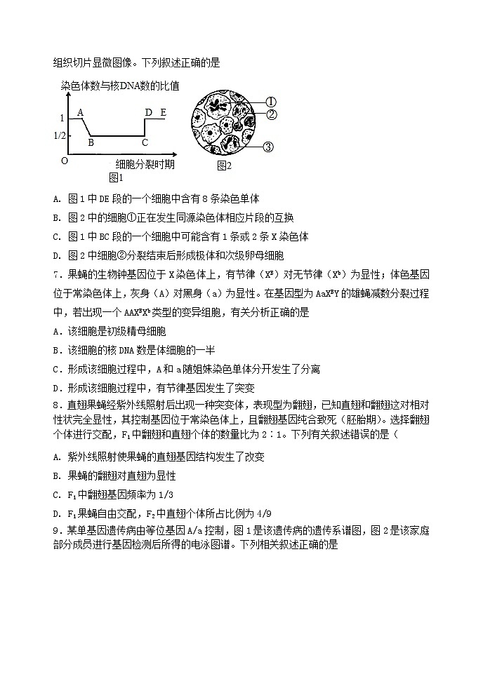山东省济南大学城实验高中2022届高三上学期11月月考生物试题03
