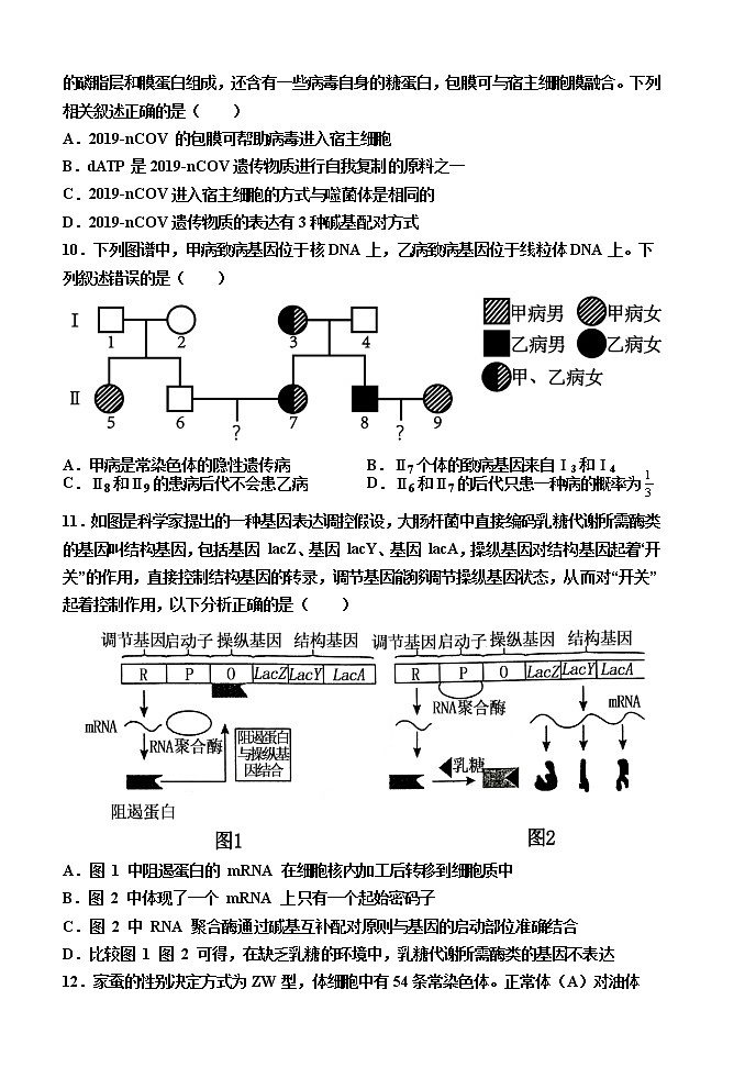 济北中学高三阶段性检测生物试题第3页