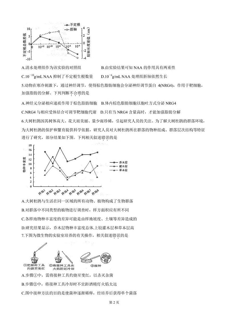 2022届江苏省如皋市高三上学期第一次调研考试 生物（PDF版）练习题第2页