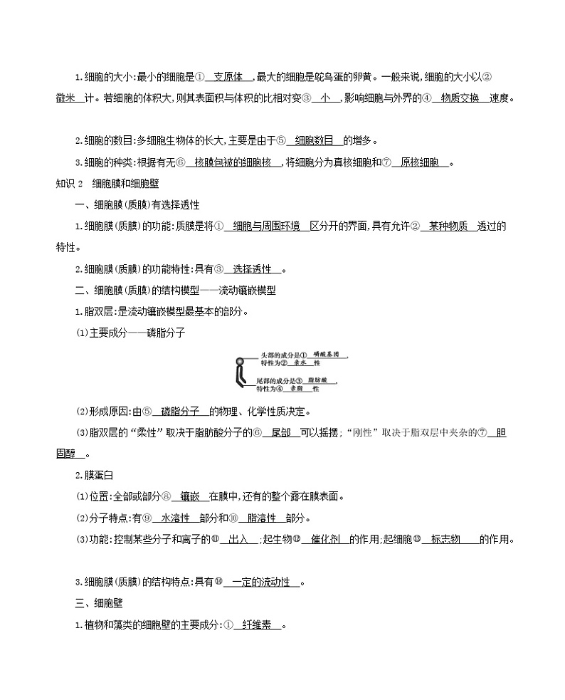 浙江版2022版高考生物总复习第二单元细胞的结构第3讲细胞概述细胞膜细胞壁教案第2页