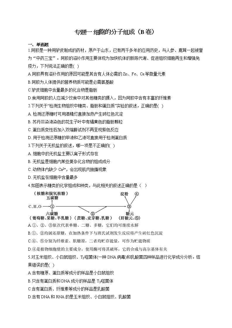 【新课标新高考】2022届高考生物二轮复习专题练AB卷 专题一 细胞的分子组成（B卷）第1页
