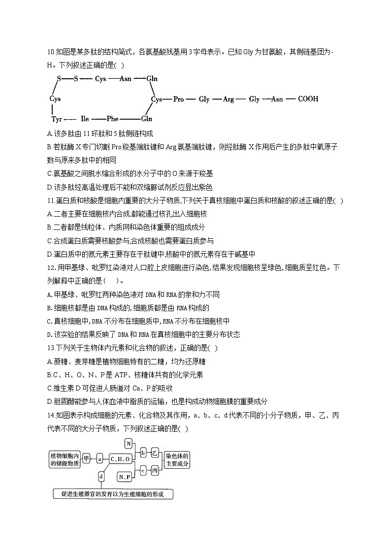 【新课标新高考】2022届高考生物二轮复习专题练AB卷 专题一 细胞的分子组成（B卷）第3页