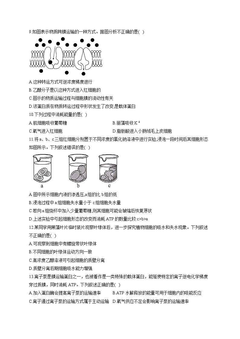 【新课标新高考】2022届高考生物二轮复习专题练AB卷 专题三 细胞的物质输入和输出（A卷）第3页