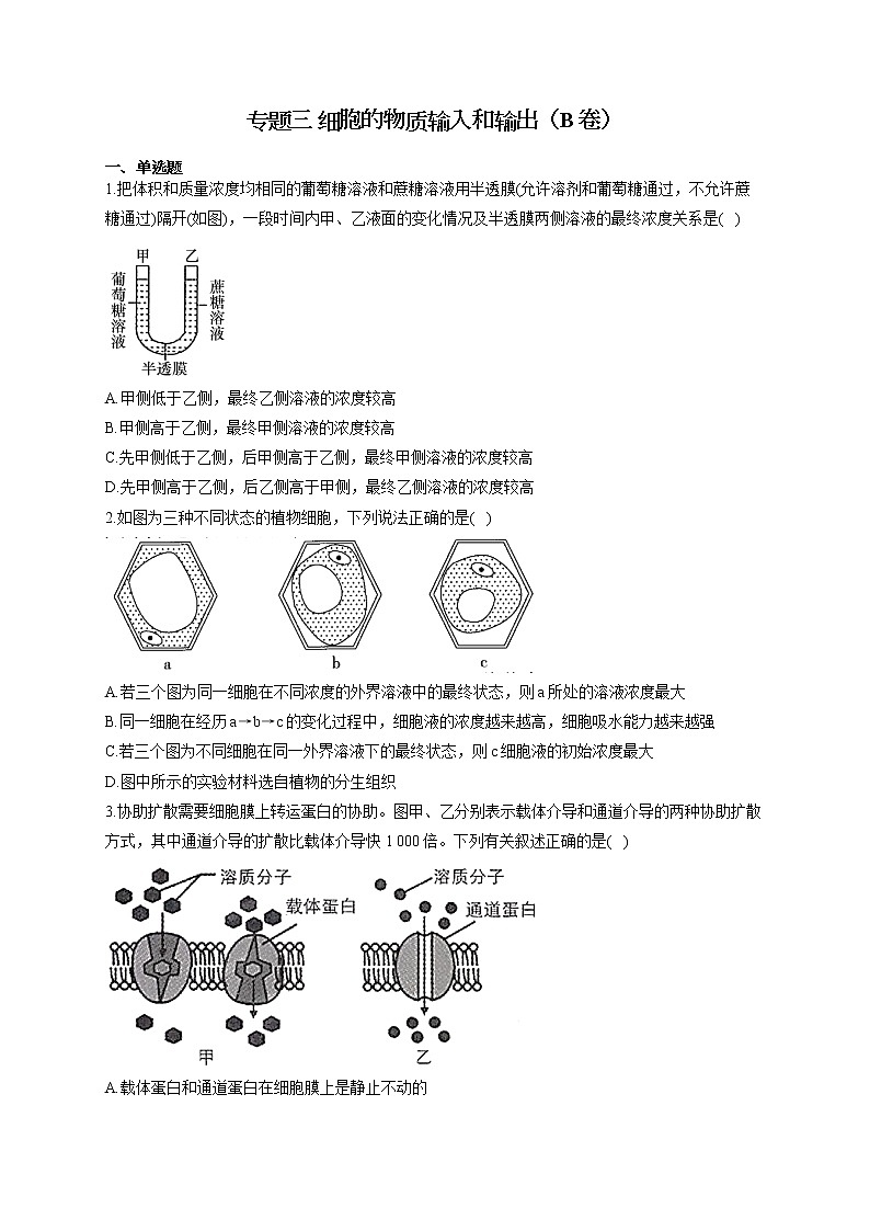 【新课标新高考】2022届高考生物二轮复习专题练AB卷 专题三 细胞的物质输入和输出（B卷）第1页