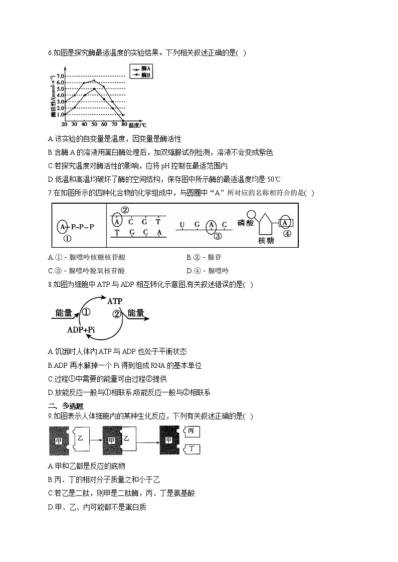 【新课标新高考】2022届高考生物二轮复习专题练AB卷 专题四 酶与ATP（A卷）第2页