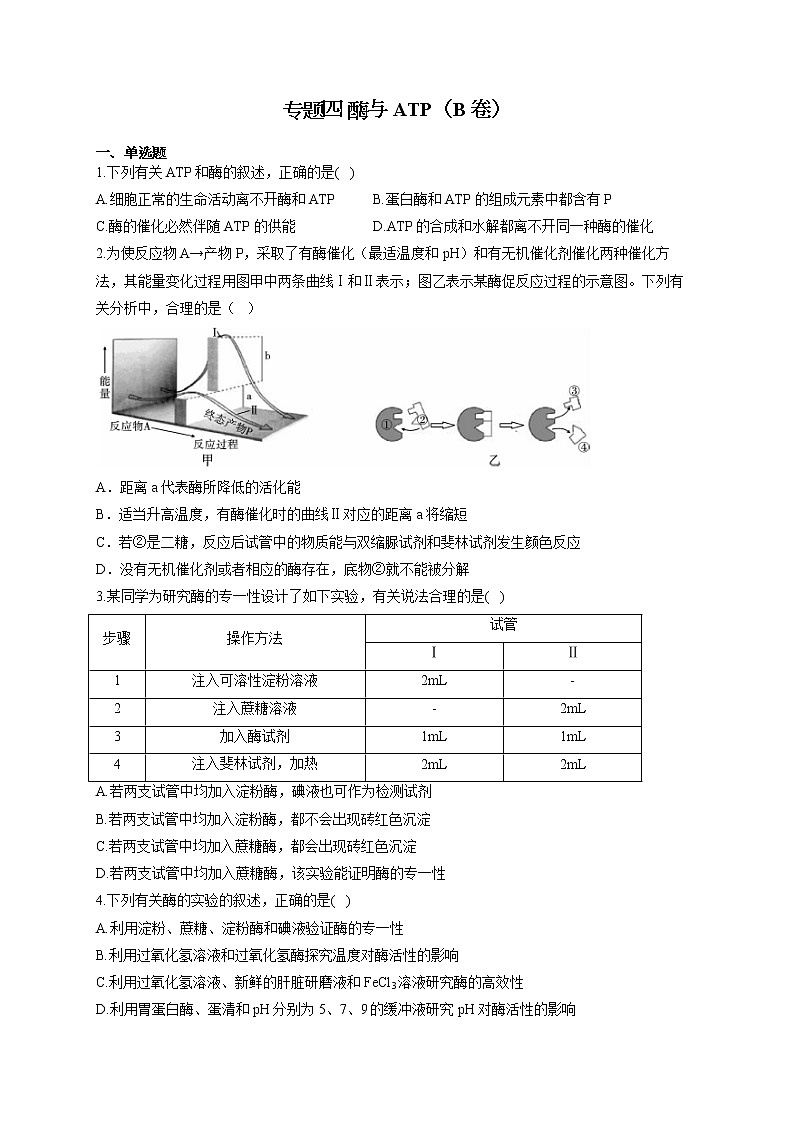 【新课标新高考】2022届高考生物二轮复习专题练AB卷 专题四 酶与ATP（B卷）第1页