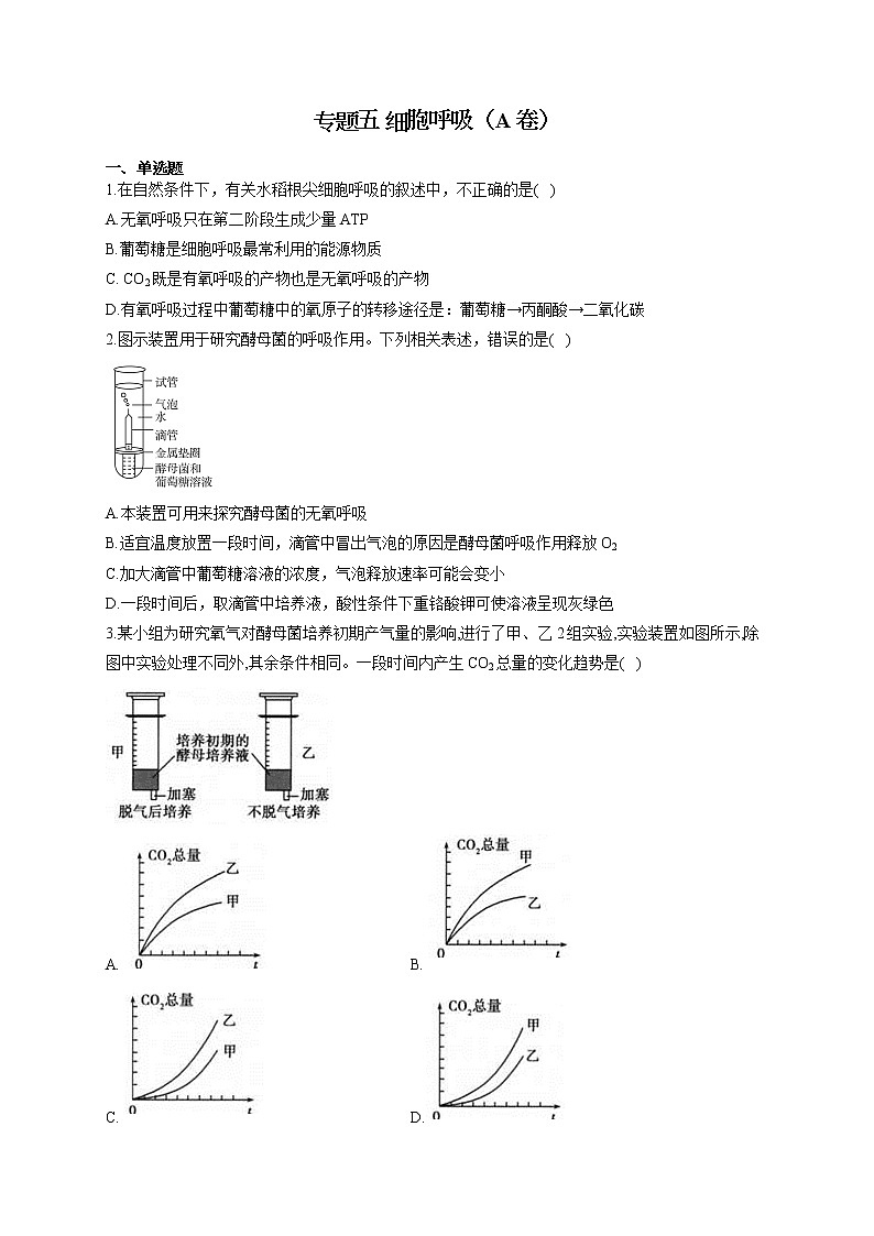 【新课标新高考】2022届高考生物二轮复习专题练AB卷 专题五 细胞呼吸（A卷）第1页