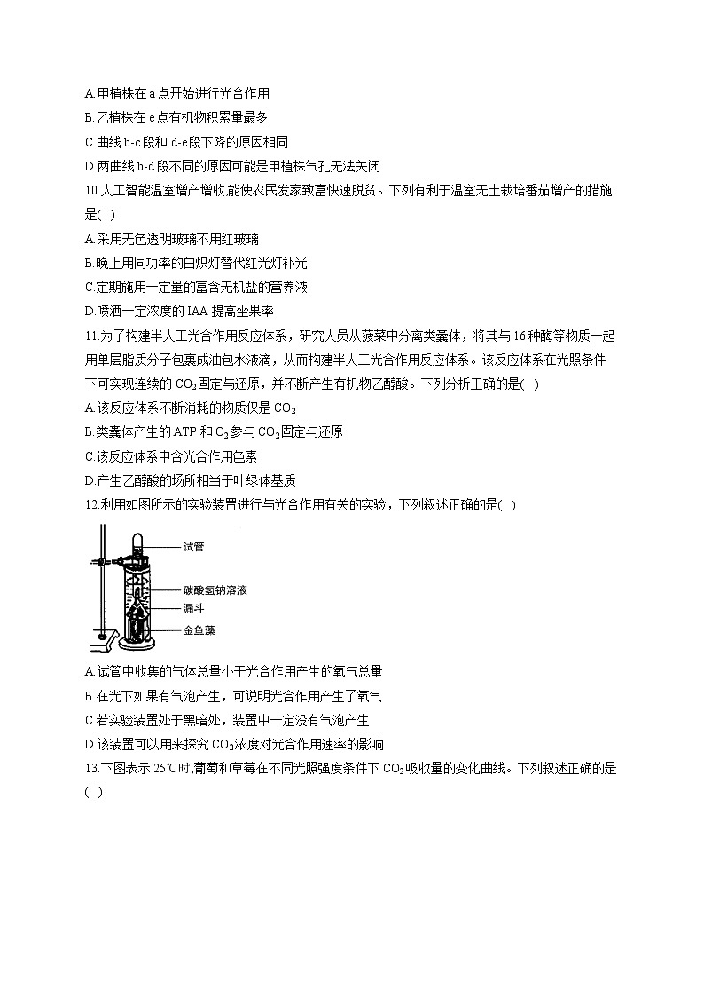 【新课标新高考】2022届高考生物二轮复习专题练AB卷 专题六 光合作用（A卷）第3页