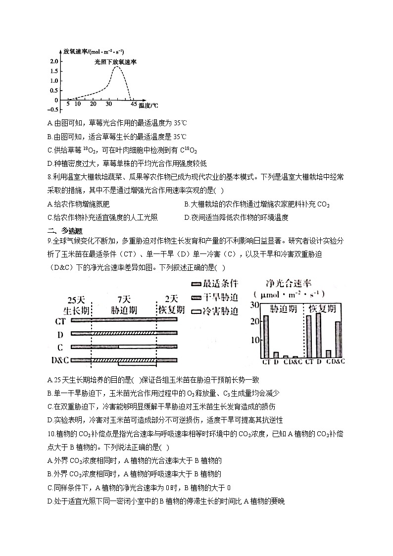 【新课标新高考】2022届高考生物二轮复习专题练AB卷 专题六 光合作用（B卷）第3页