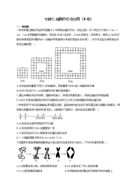 【新课标新高考】2022届高考生物二轮复习专题练AB卷 专题七 细胞的生命历程（B卷）