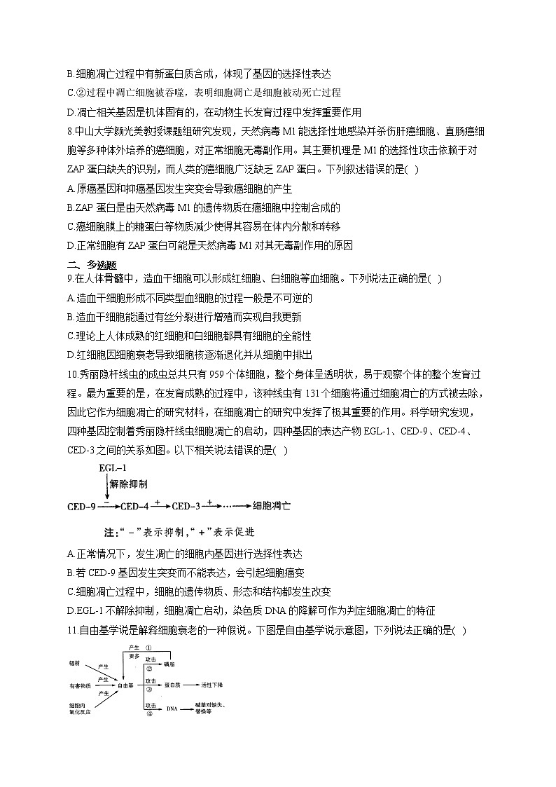 【新课标新高考】2022届高考生物二轮复习专题练AB卷 专题七 细胞的生命历程（B卷）第3页