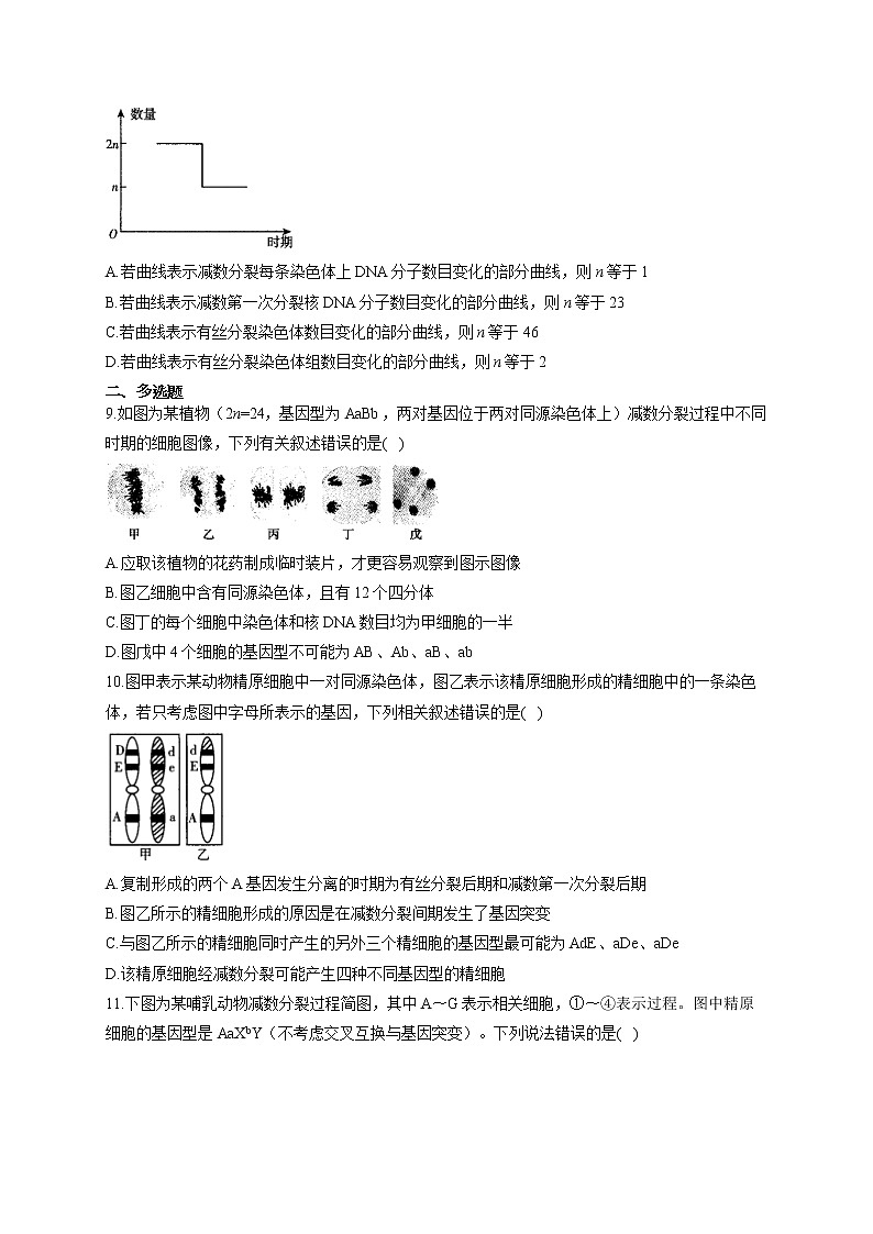 【新课标新高考】2022届高考生物二轮复习专题练AB卷 专题八 遗传的细胞基础（B卷）第3页