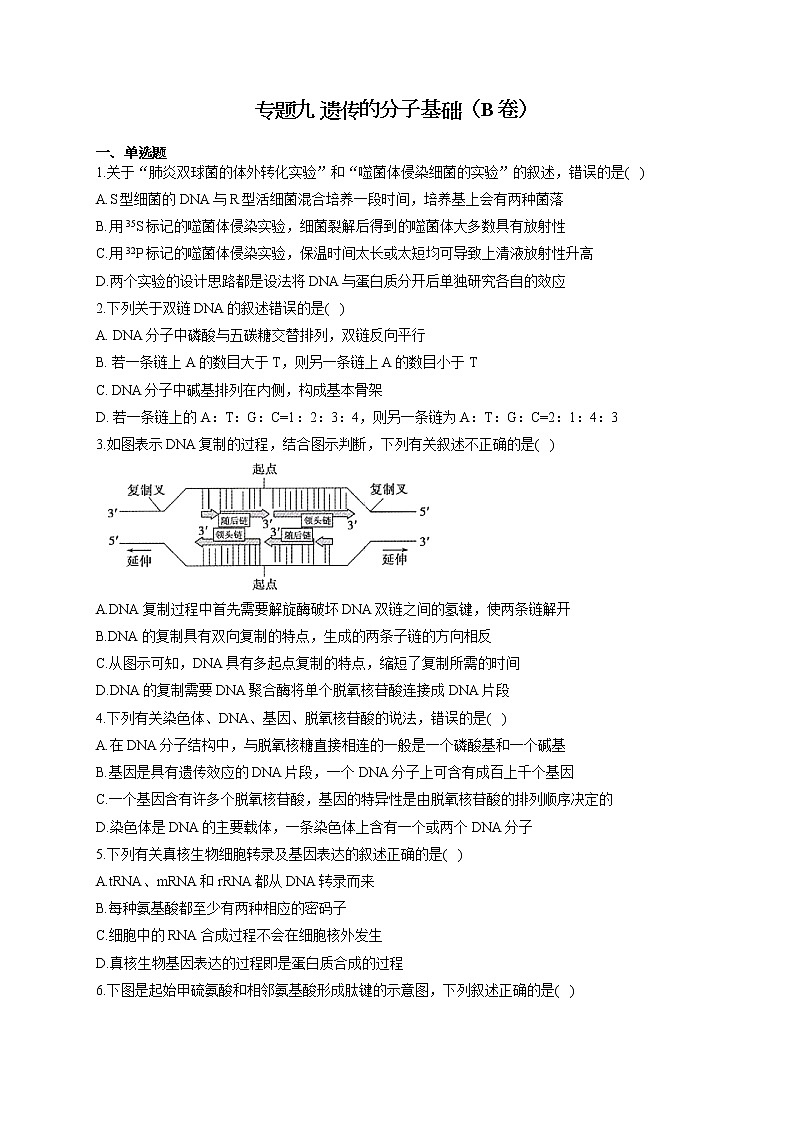 【新课标新高考】2022届高考生物二轮复习专题练AB卷 专题九 遗传的分子基础（B卷）第1页