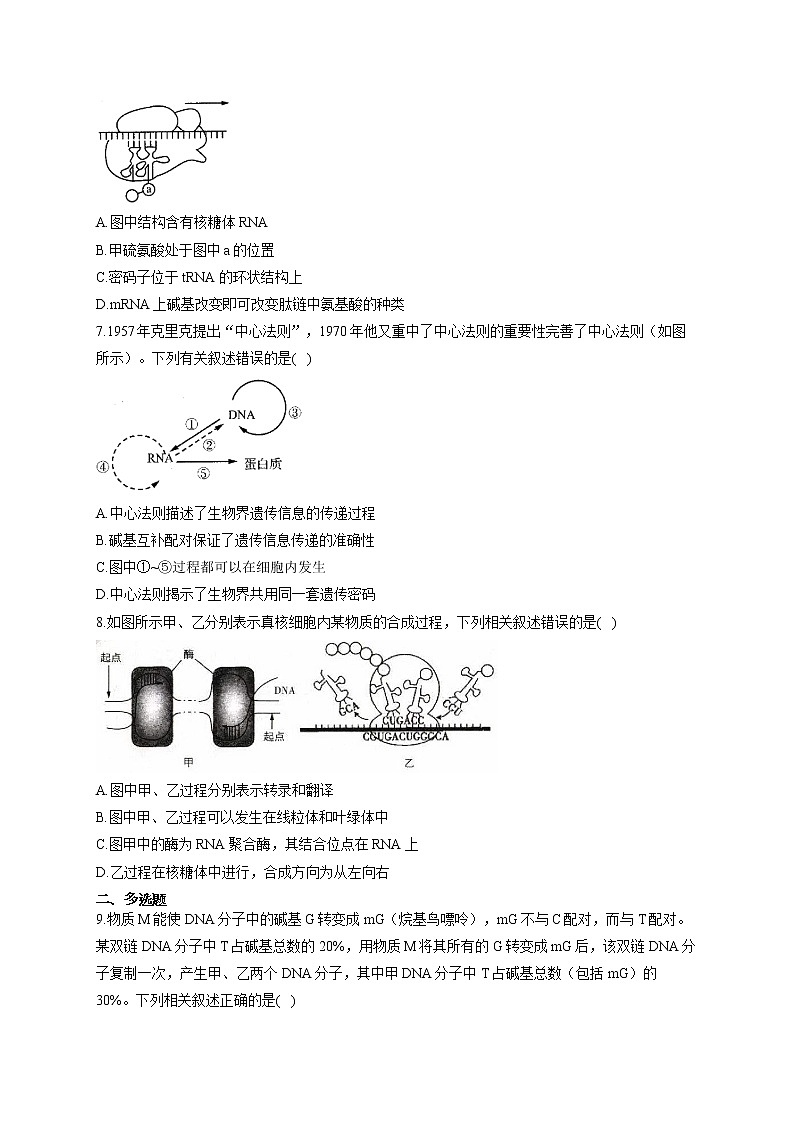 【新课标新高考】2022届高考生物二轮复习专题练AB卷 专题九 遗传的分子基础（B卷）第2页