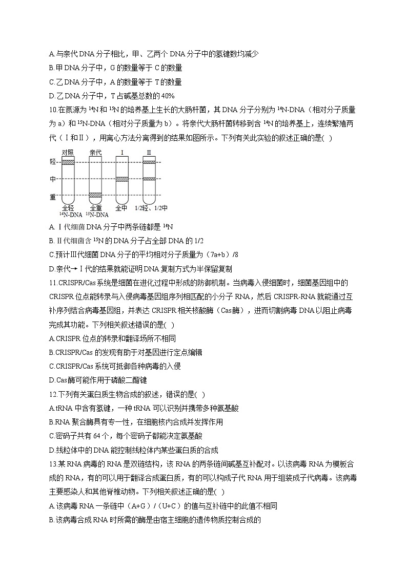 【新课标新高考】2022届高考生物二轮复习专题练AB卷 专题九 遗传的分子基础（B卷）第3页