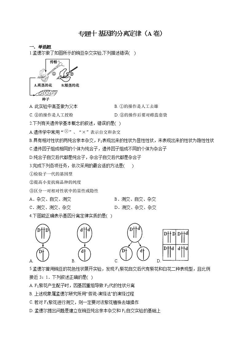 【新课标新高考】2022届高考生物二轮复习专题练AB卷 专题十 基因的分离定律（A卷）第1页