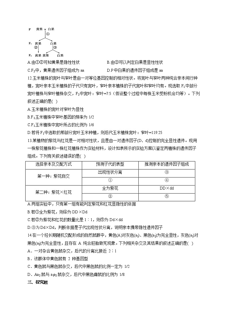 【新课标新高考】2022届高考生物二轮复习专题练AB卷 专题十 基因的分离定律（B卷）第3页
