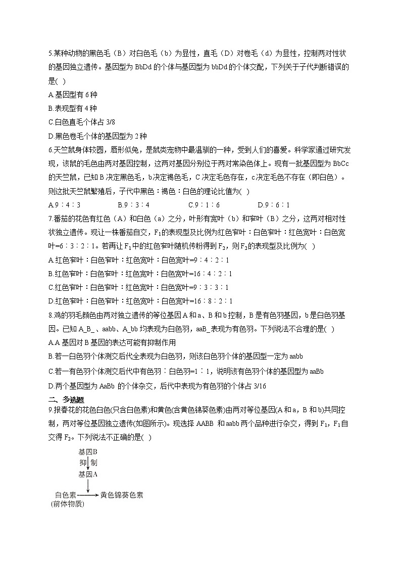 【新课标新高考】2022届高考生物二轮复习专题练AB卷 专题十一 基因的自由组合定律（A卷）第2页