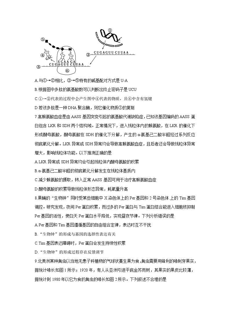 山东省济宁市兖州区2022届高三上学期期中考试生物含答案03