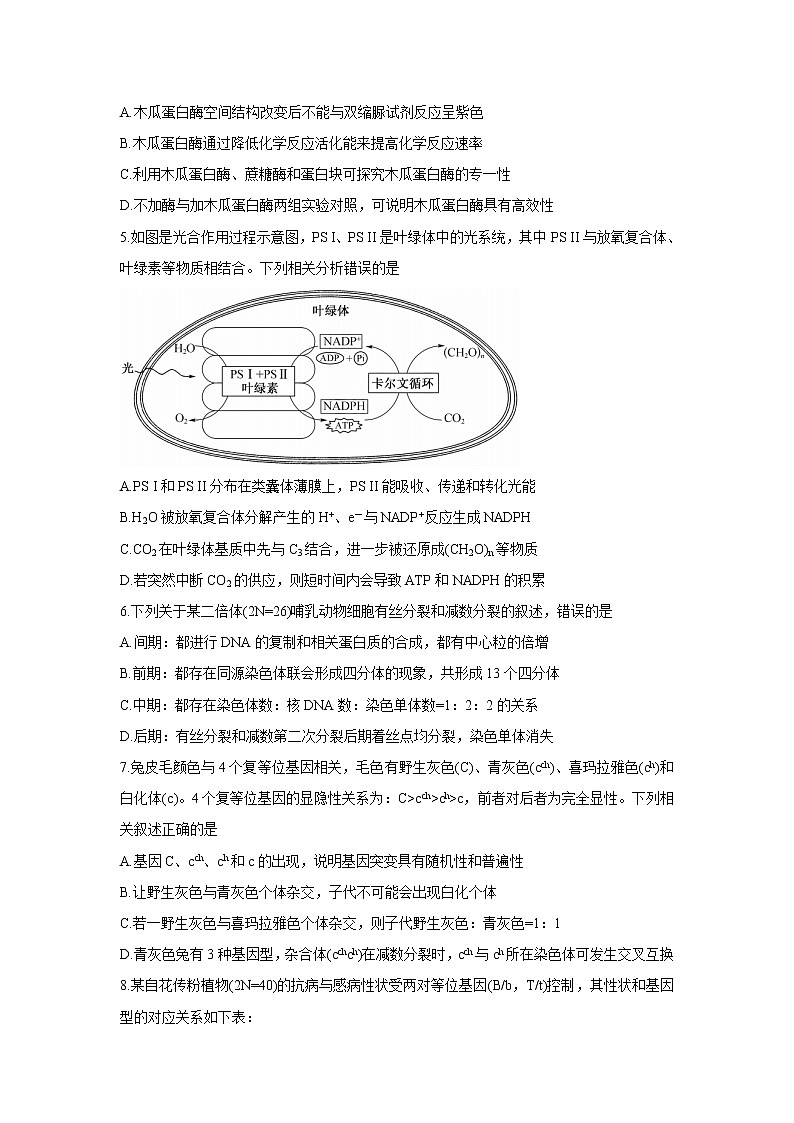 九师联盟2022届高三上学期11月质量检测（老高考）生物含答案第2页