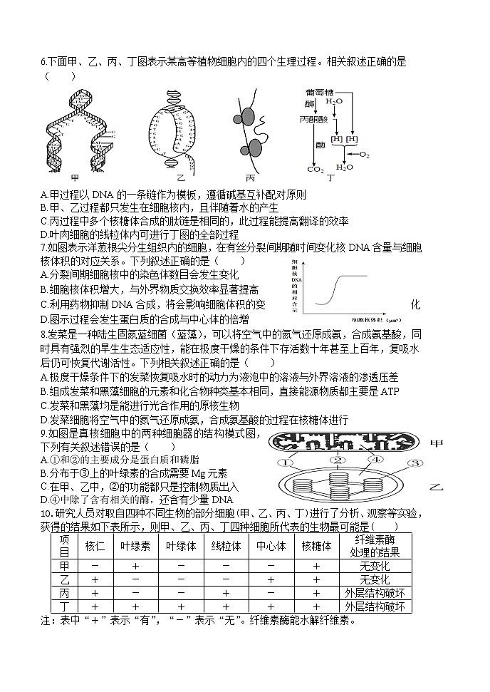 202111高三生物第2页