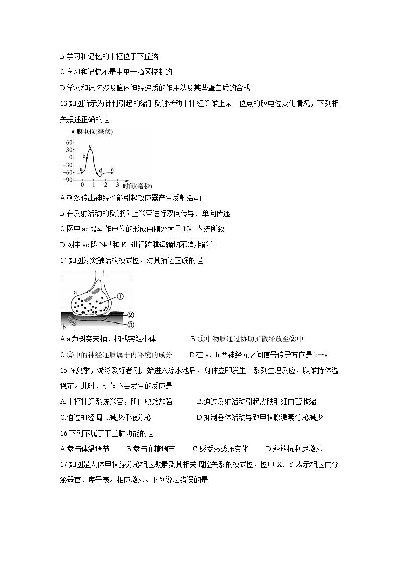 黑龙江省齐齐哈尔市五校联谊2021-2022学年高二上学期期中联考生物含答案 试卷03