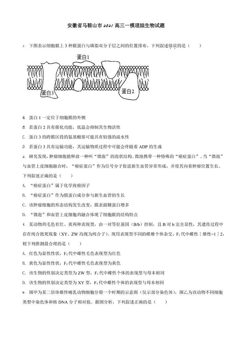 安徽省马鞍山市2021高三一模理综生物试题（含答案）01