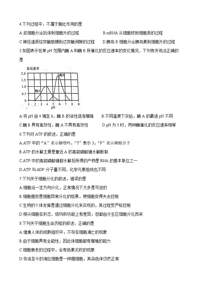 陕西省咸阳市2020届高三上学期第一次模拟考试生物试题02