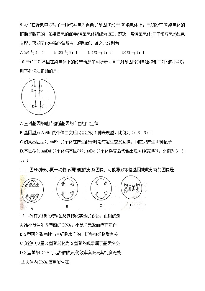 陕西省咸阳市2020届高三上学期第一次模拟考试生物试题03