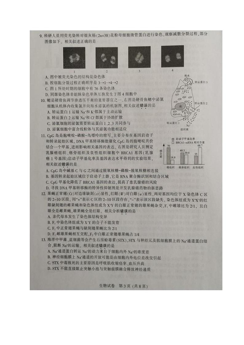 江苏省南通，徐州，宿迁，淮安，泰州，镇江六市2021届高三第一次调研生物试题【试卷+答案】03
