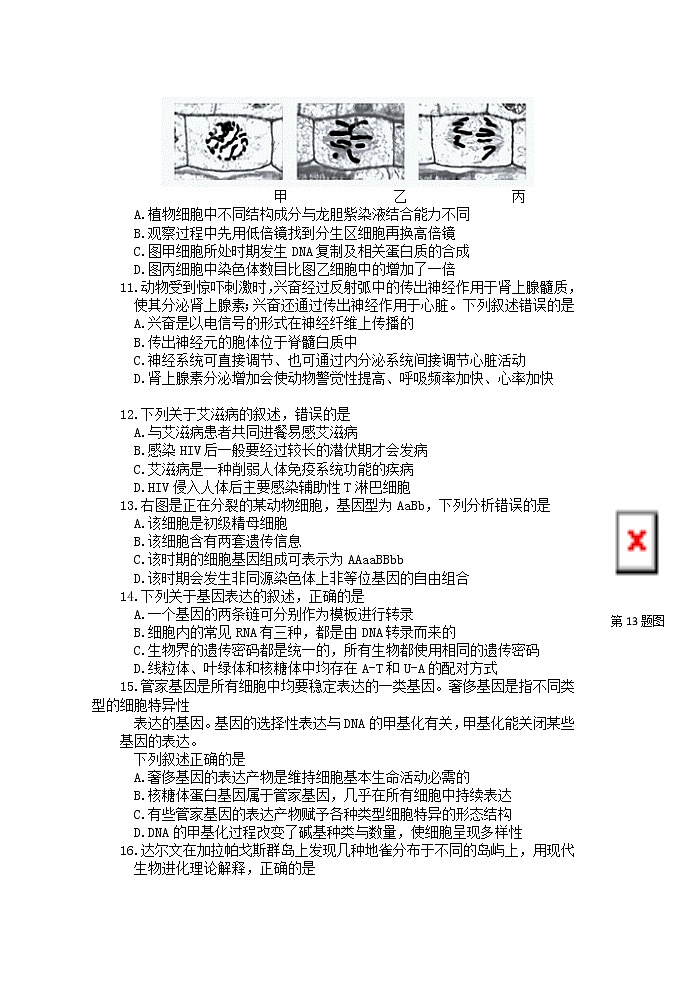 浙江省绿谷高中联盟2021-2022学年高二上学期期中联考生物试题第3页