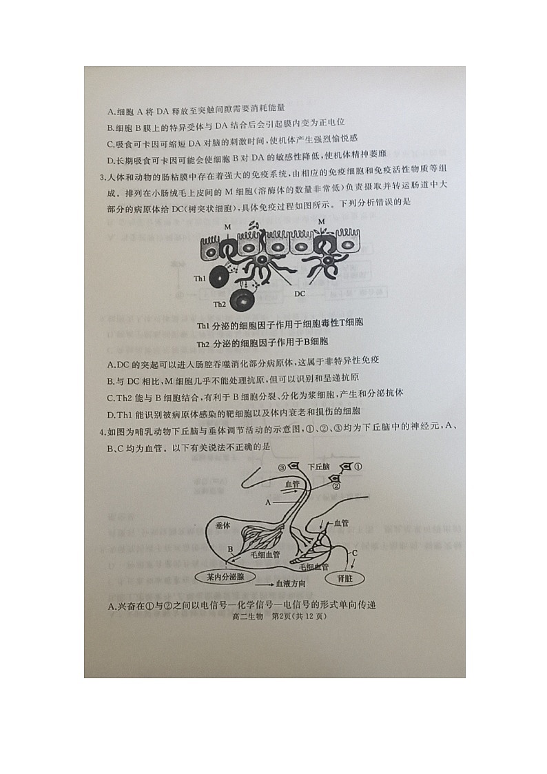 山东省枣庄滕州市2021-2022学年高二上学期期中考试生物试题第2页