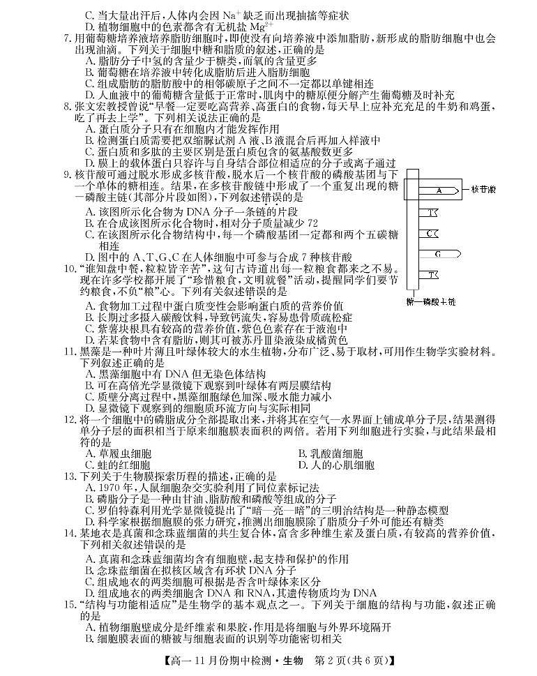 山西省运城市教育发展联盟2021-2022学年高一上学期11月期中检测生物试题PDF版含答案02