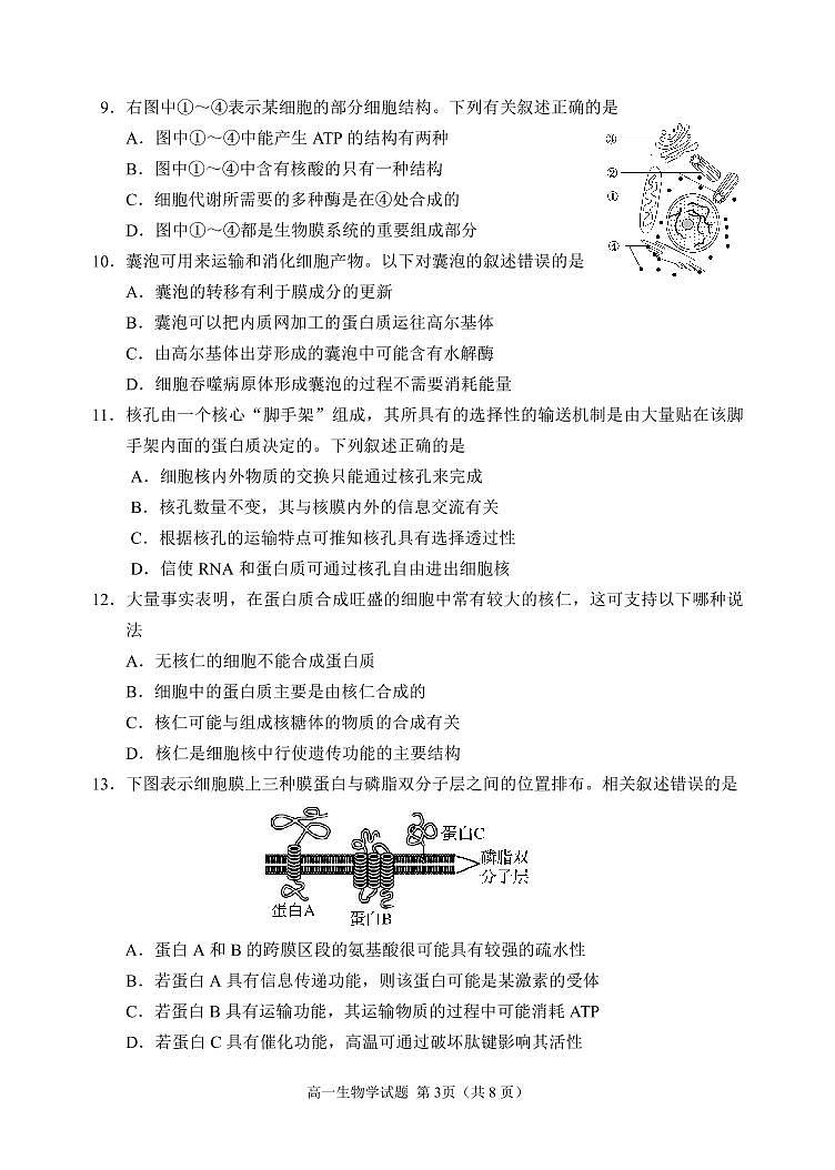 山东省日照市五莲县2021-2022学年高一上学期期中考试生物试题PDF版含答案03