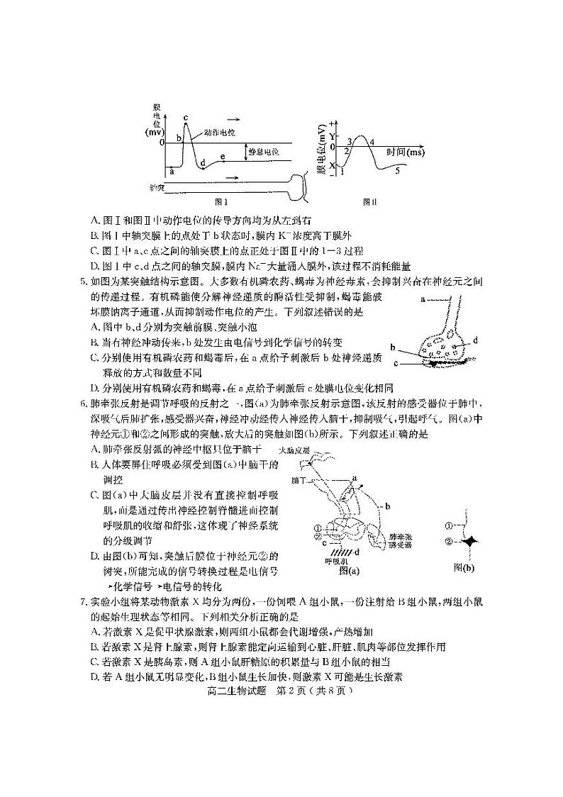 山东省聊城市2021-2022学年高二上学期期中考试生物试题PDF版含答案02