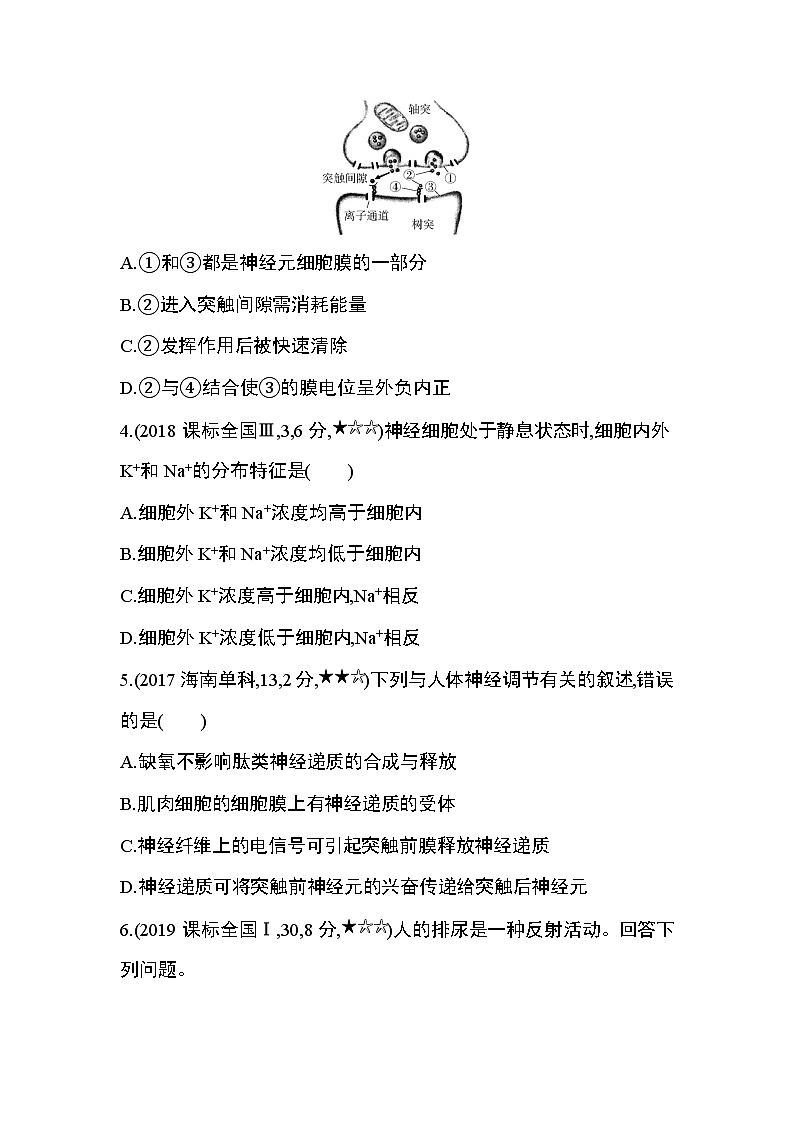 第2章　动物和人体生命活动的调节第1节综合拔高练02