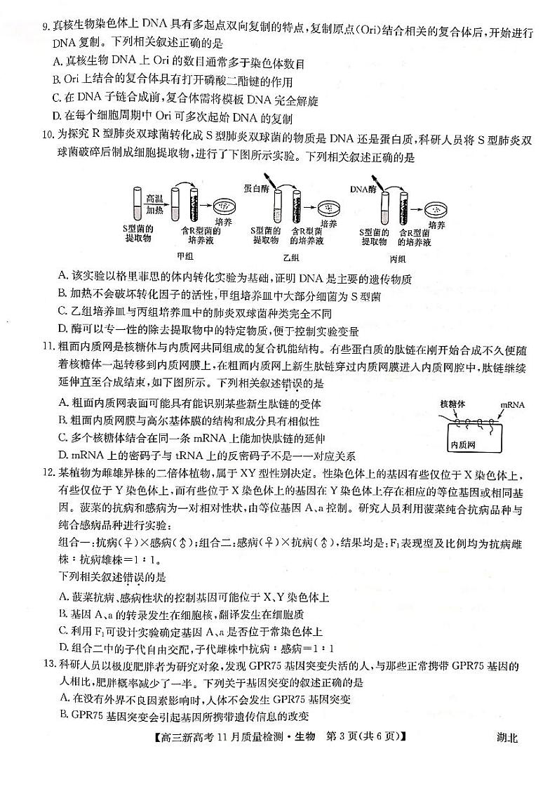 湖北省部分学校2022届高三上学期11月质量检测生物试题03