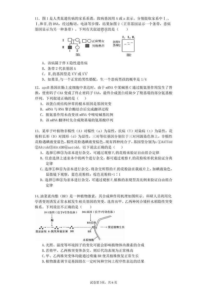 （10月25日）2021-2022学年上学期高三生物期中测试题第3页