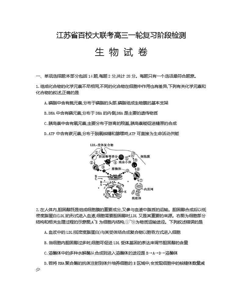 江苏省百校大联考2022届高三上学期一轮复习阶段检测（11月）生物试题含答案01