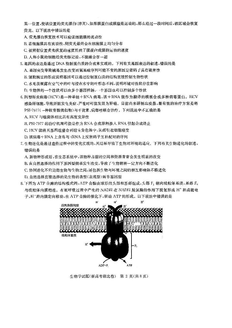 湖北省华大新高考联盟2022届高三上学期11月联考生物试题PDF版含答案02