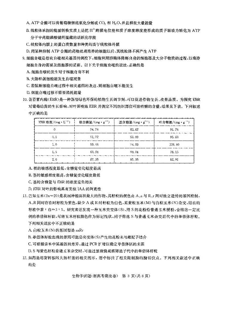 湖北省华大新高考联盟2022届高三上学期11月联考生物试题PDF版含答案03