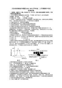 辽宁省大连市滨城高中联盟2021-2022学年高二上学期期中考试生物试题含答案