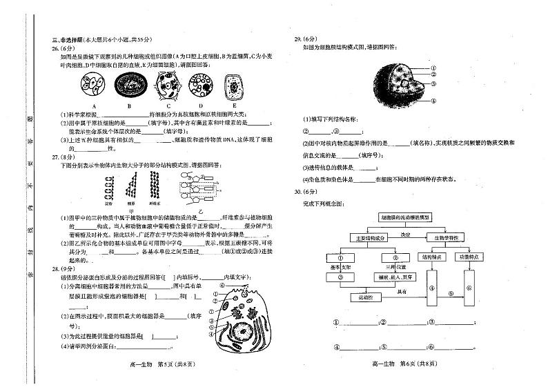 山西省2021-2022学年高一上学期期中考试生物试卷PDF版含答案第3页