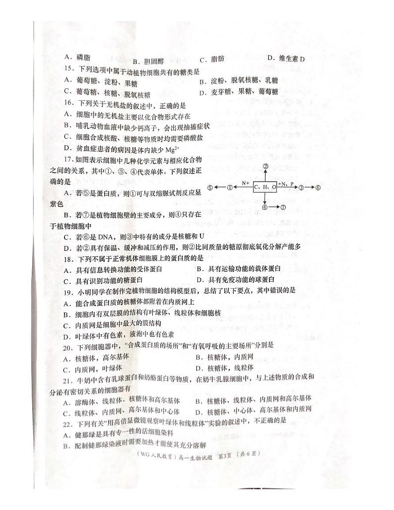 陕西省咸阳市武功县2021-2022学年高一上学期期中考试生物试题扫描版含答案02